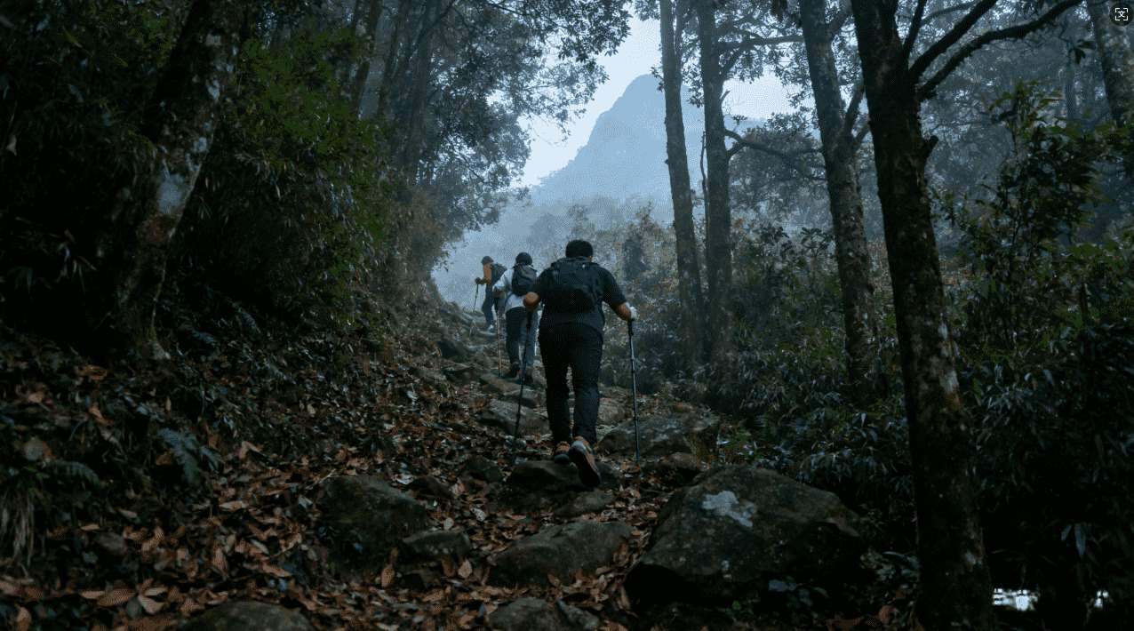 适合佛跳墙的网络加速器有哪些优点与特色分析
